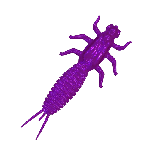 Larva