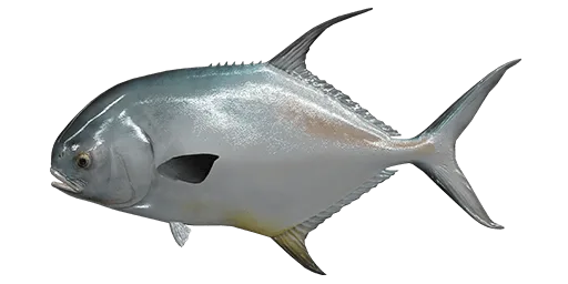 Permit