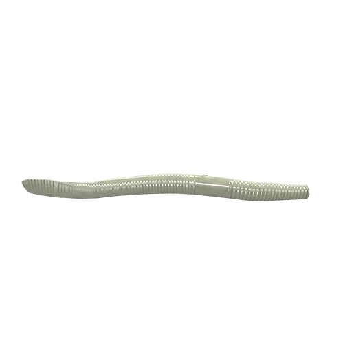 Worm